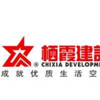 棲霞建設董事會決議公告 選舉江勁松為董事長、總裁及投資興辦實業